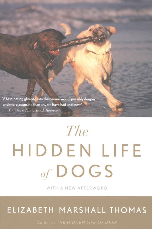 Produktbild: The Hidden Life Of Dogs