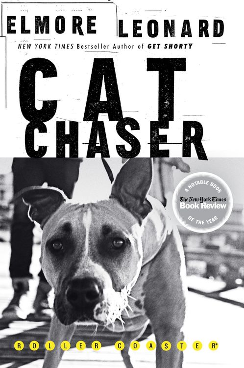 Produktbild: Cat Chaser