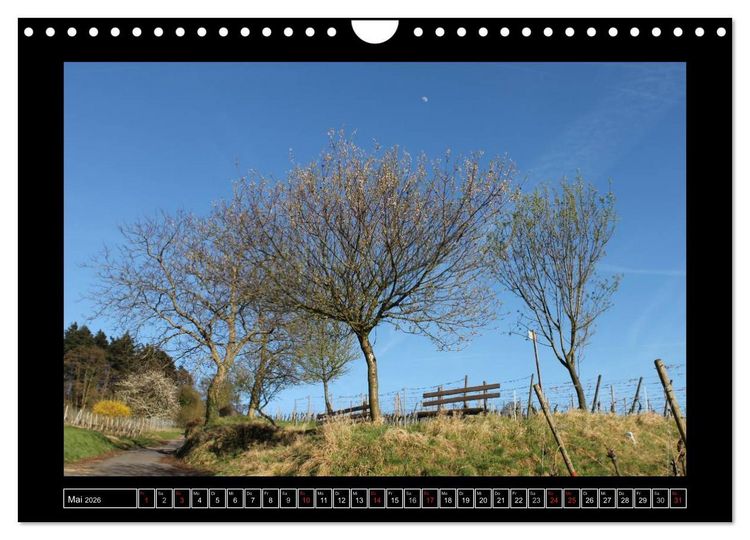 Produktbild: Odenwald - Landschaft sehen (Wandkalender 2026 DIN A4 quer), CALVENDO Monatskalender