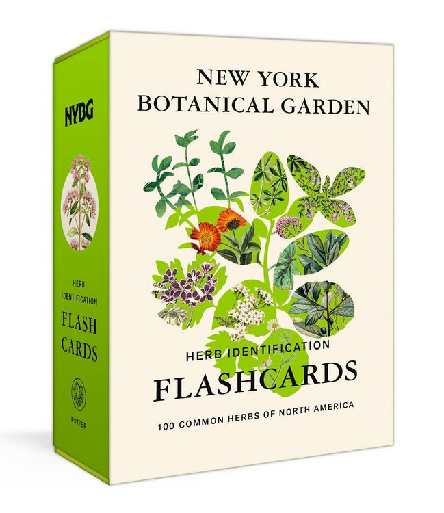 Produktbild: New York Botanical Garden Herb Identification Flashcards