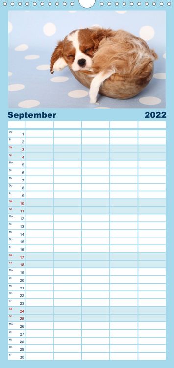 Produktbild: Familienplaner S&uuml;&szlig;e Tr&auml;ume 2022 - schlafende Hundewelpen (Wandkalender 2022 , 21 cm x 45 cm, hoch)