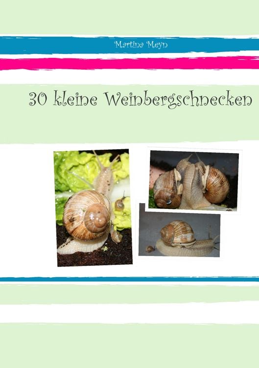Produktbild: 30 kleine Weinbergschnecken