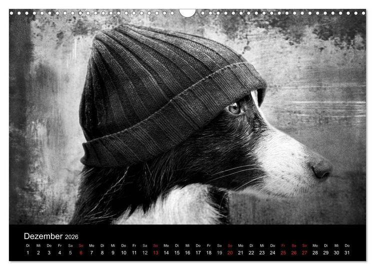 Produktbild: H&uuml;tehunde (Wandkalender 2026 DIN A3 quer), CALVENDO Monatskalender