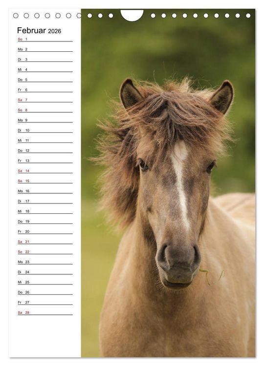 Produktbild: Isl&auml;nder im Portrait (Wandkalender 2026 DIN A4 hoch), CALVENDO Monatskalender