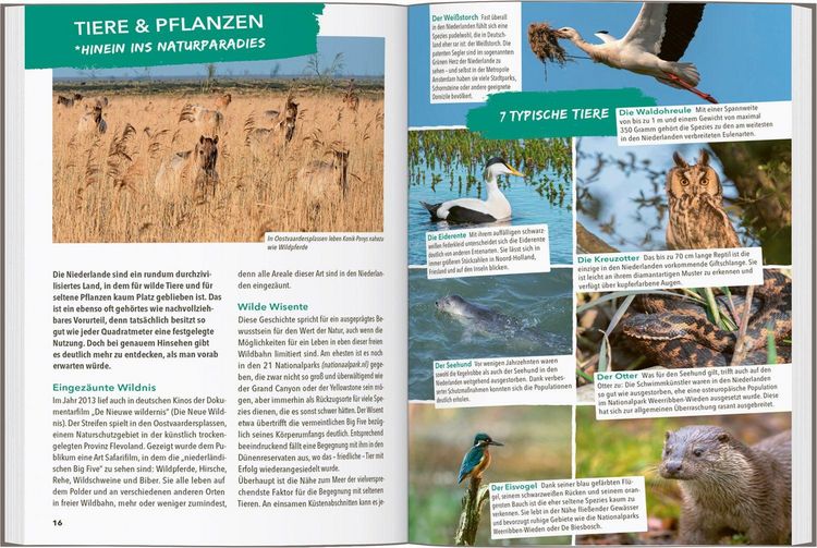 Produktbild: MARCO POLO OUTDOOR GUIDE Reisef&uuml;hrer Niederl&auml;ndische K&uuml;ste