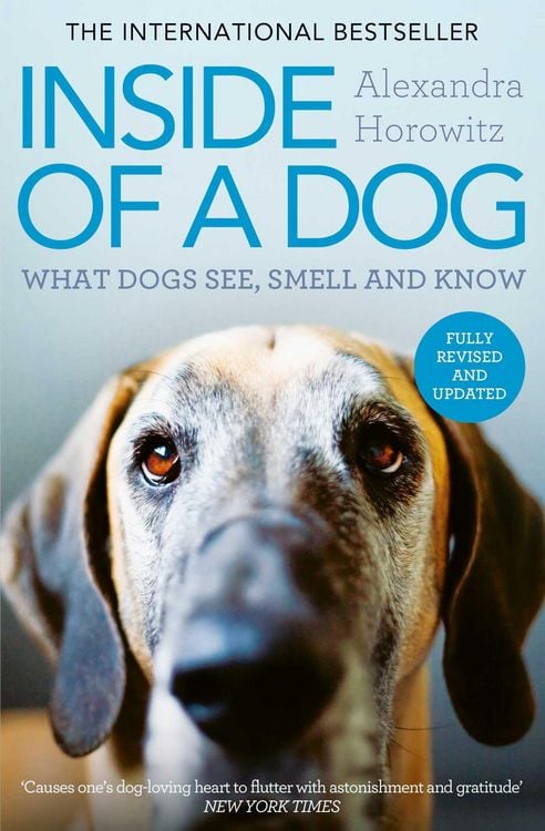 Produktbild: Inside of a Dog