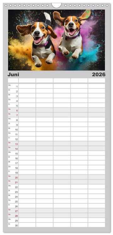 Produktbild: Familienplaner 2026 - Holi Pulver - Doppelte Action mit 5 Spalten (Wandkalender, 21 x 45 cm) CALVENDO