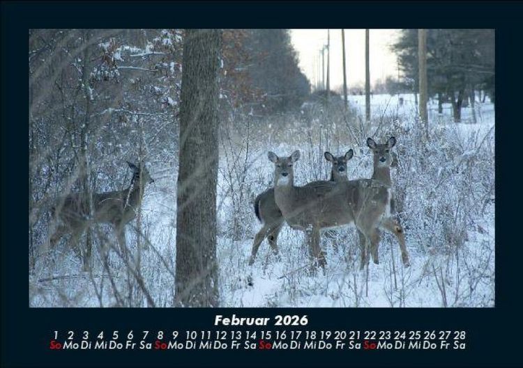 Produktbild: Winterzauber 2026 Fotokalender DIN A5