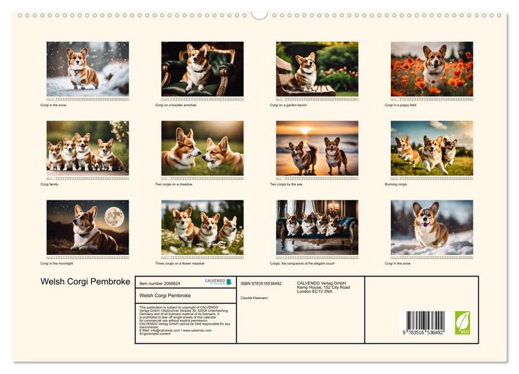 Produktbild: Welsh Corgi Pembroke (High Quality Premium Wall Calendar 2026 DIN A2 landscape),CALVENDO 12 Month Wall Calendar