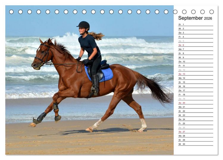 Produktbild: Mein Reitsport Kalender (Tischkalender 2026 DIN A5 quer), CALVENDO Monatskalender