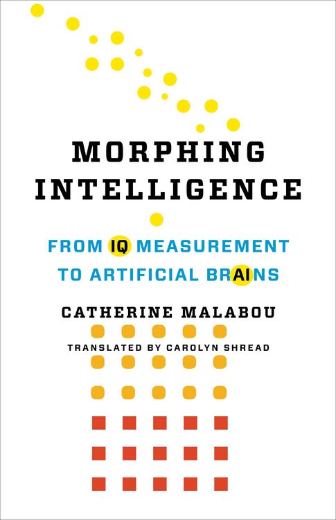 Produktbild: Morphing Intelligence