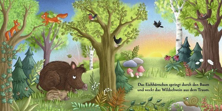 Produktbild: Es wird Tag hier im Wald