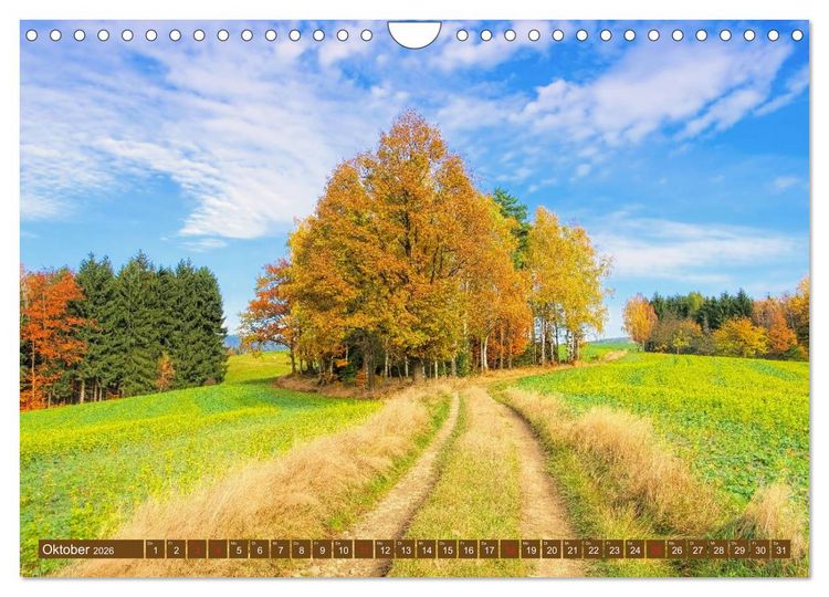 Produktbild: Die Sch&ouml;nheit der S&auml;chsischen Schweiz (Wandkalender 2026 DIN A4 quer), CALVENDO Monatskalender