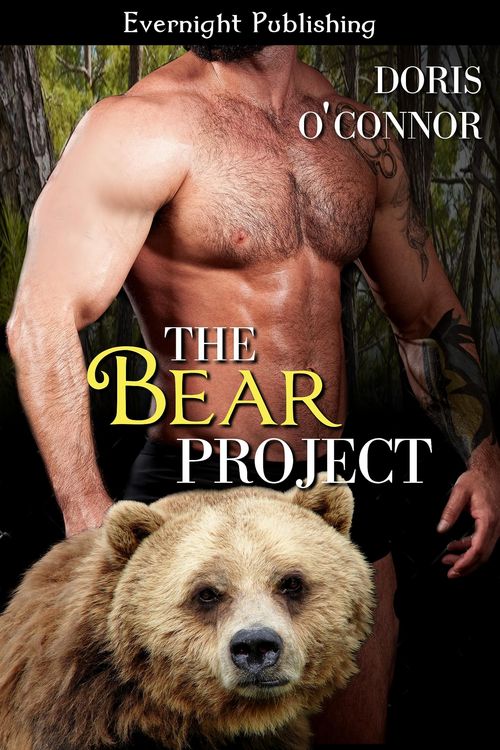 Produktbild: The Bear Project