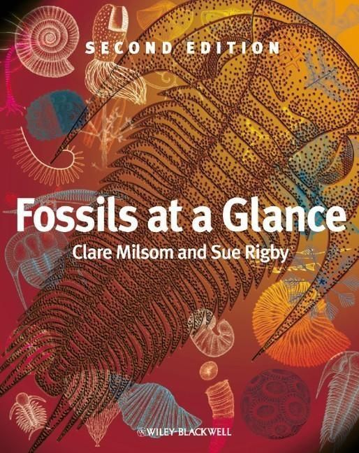 Produktbild: Fossils at a Glance