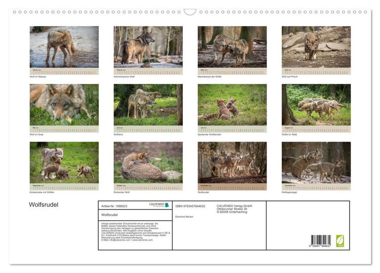 Produktbild: Wolfsrudel (Wandkalender 2026 DIN A2 quer), CALVENDO Monatskalender