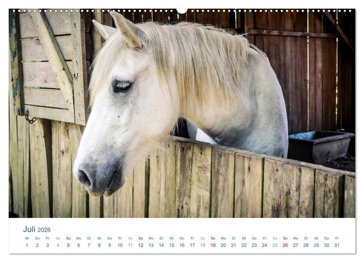 Produktbild: Tierisches Leben auf dem Bauernhof 2026 (Wandkalender 2026 DIN A2 quer), CALVENDO Monatskalender