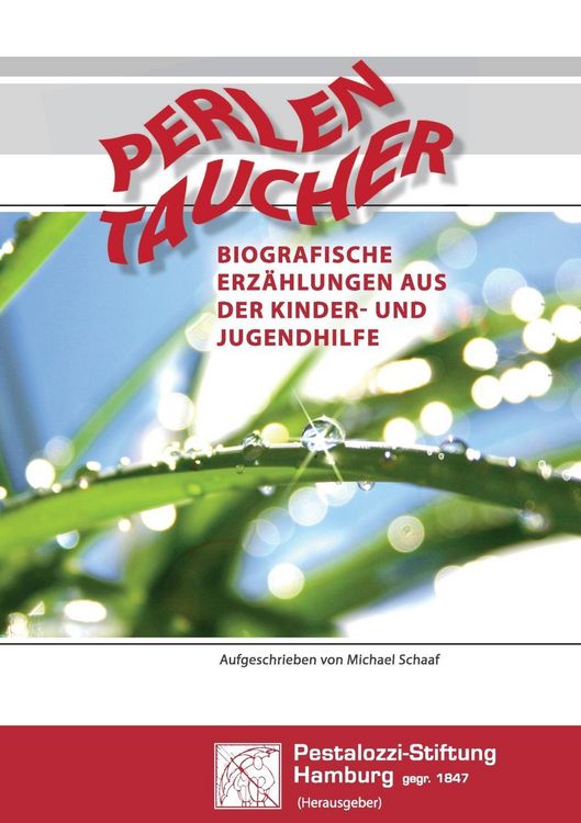 Produktbild: Perlen Taucher - Biografische Erz&auml;hlungen aus der Kinder- und Jugendhilfe