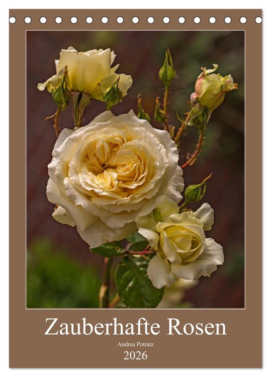 Produktbild: Zauberhafte Rosen (Tischkalender 2026 DIN A5 hoch), CALVENDO Monatskalender