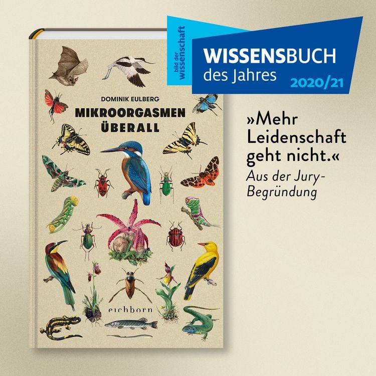 Produktbild: Mikroorgasmen &uuml;berall
