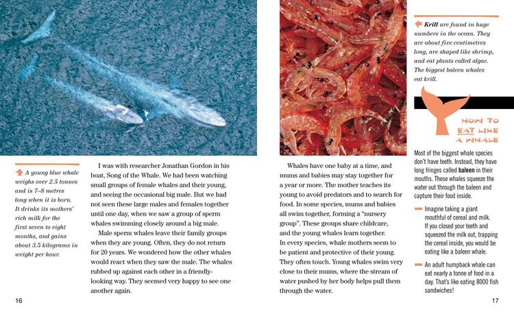 Produktbild: Nat Geo Reader Whales