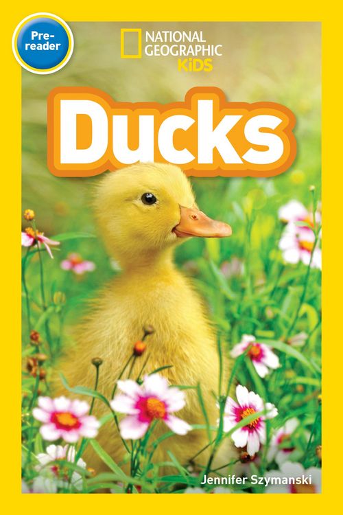 Produktbild: Ducks (National Geographic Kids Readers, Pre-Reader)