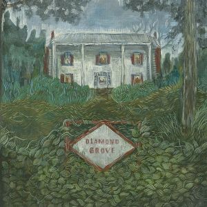 Produktbild: Diamond Grove
