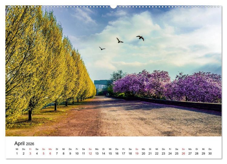 Produktbild: Kassel - Morgenlicht (Wandkalender 2026 DIN A2 quer), CALVENDO Monatskalender