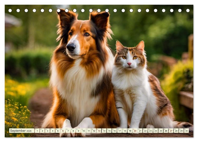 Produktbild: Traumhund Collie (Tischkalender 2026 DIN A5 quer), CALVENDO Monatskalender