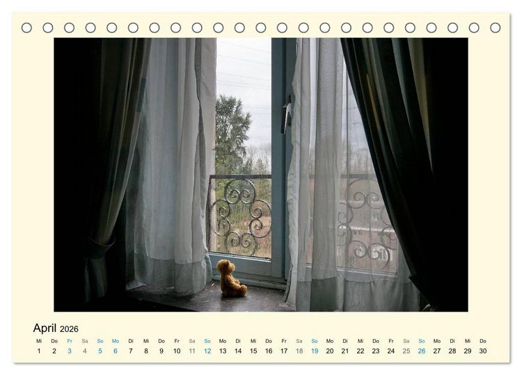 Produktbild: Herr B&auml;r urban explorer (Tischkalender 2026 DIN A5 quer), CALVENDO Monatskalender
