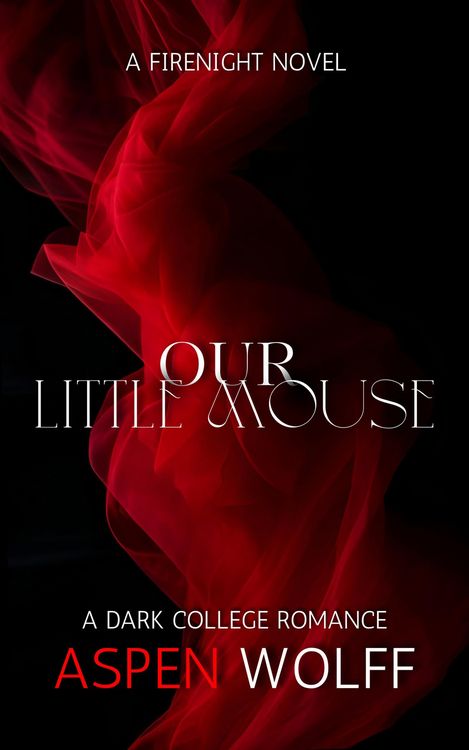 Produktbild: Our Little Mouse: A Dark College Romance