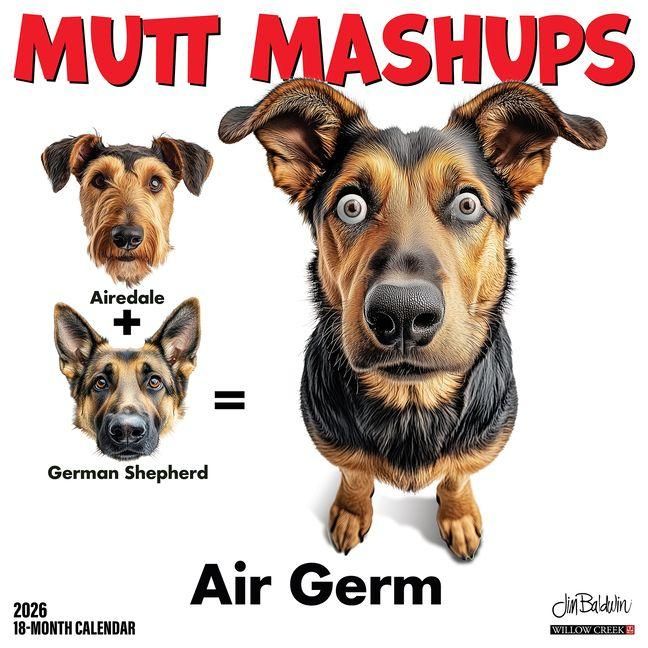 Produktbild: Mutt Mashups 2026 12 X 12 Wall Calendar