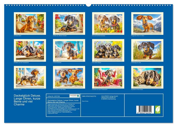 Produktbild: Dackelgl&uuml;ck Deluxe. Lange Ohren, kurze Beine und viel Charme (hochwertiger Premium Wandkalender 2026 DIN A2 quer), Kunstdruck in Hochglanz