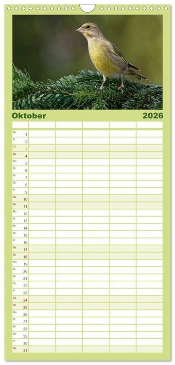 Produktbild: Familienplaner 2026 - Heimische Gartenv&ouml;gel mit 5 Spalten (Wandkalender, 21 x 45 cm) CALVENDO