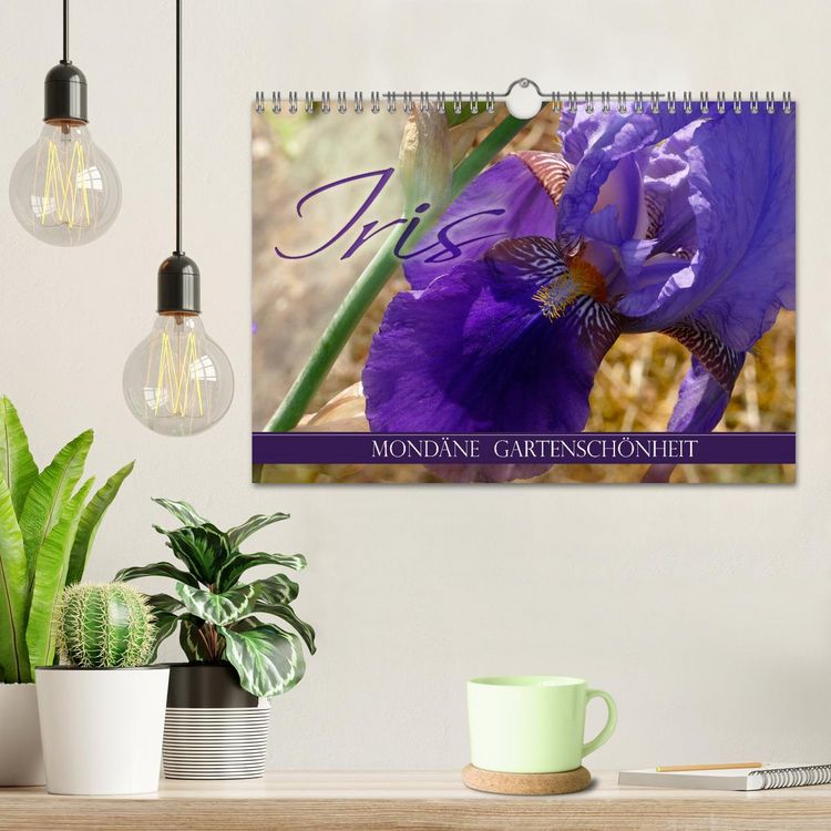 Produktbild: Iris - mond&auml;ne Gartensch&ouml;nheit (Wandkalender 2026 DIN A4 quer), CALVENDO Monatskalender