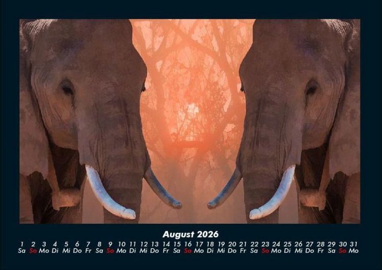 Produktbild: Elefanten - Die sanften Riesen Afrikas 2026 Fotokalender DIN A4