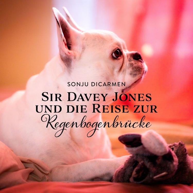 Produktbild: Sir Davey Jones und die Reise zur Regenbogenbr&uuml;cke