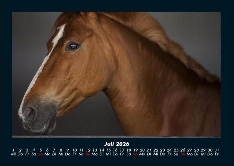 Produktbild: Die Welt der Pferde 2026 Fotokalender DIN A4