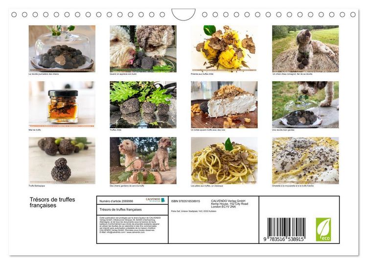 Produktbild: Tr&eacute;sors de truffes fran&ccedil;aises (Calendrier mural 2026 DIN A4 vertical), CALVENDO calendrier mensuel