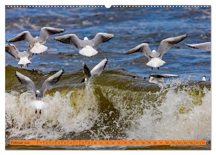 Produktbild: Mein Kaiserbad Heringsdorf (hochwertiger Premium Wandkalender 2026 DIN A2 quer), Kunstdruck in Hochglanz