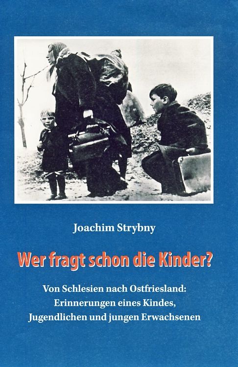 Produktbild: Wer fragt schon die Kinder?