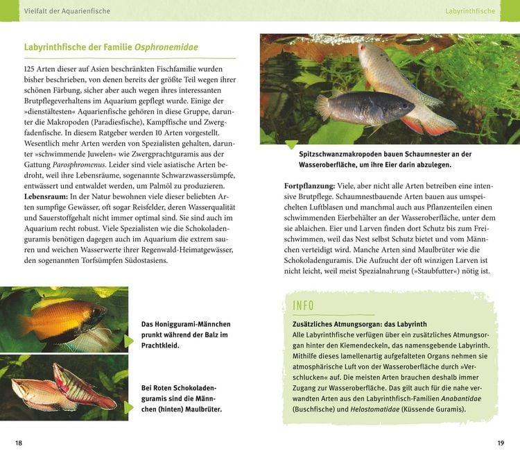 Produktbild: Aquarienfische von A bis Z