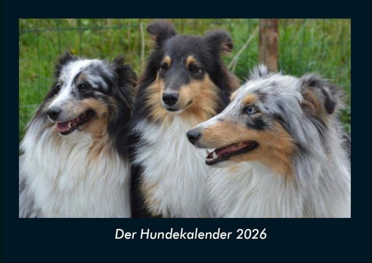 Produktbild: Der Hundekalender 2026 Fotokalender DIN A4