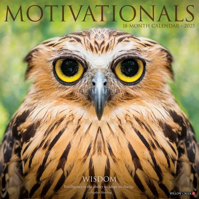 Produktbild: Motivationals 2026 Wall Calendar