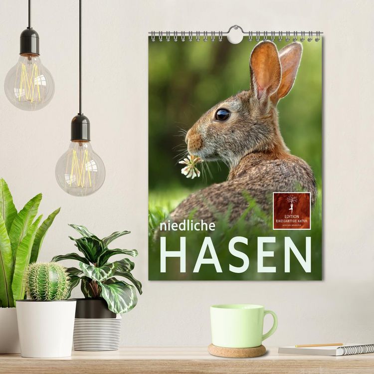 Produktbild: Niedliche Hasen (Wandkalender 2026 DIN A4 hoch), CALVENDO Monatskalender