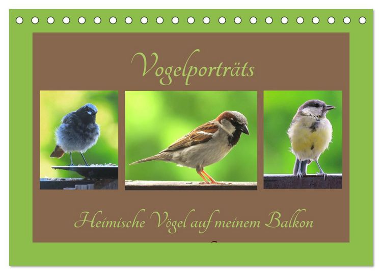 Produktbild: Vogelportr&auml;ts - Heimische V&ouml;gel auf meinem Balkon (Tischkalender 2026 DIN A5 quer), CALVENDO Monatskalender