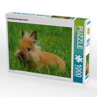 Produktbild: CALVENDO Puzzle L&ouml;wenkopf Zwergkaninchen 1000 Teile Lege-Gr&ouml;&szlig;e 64 x 48 cm Foto-Puzzle Bild von kattobello