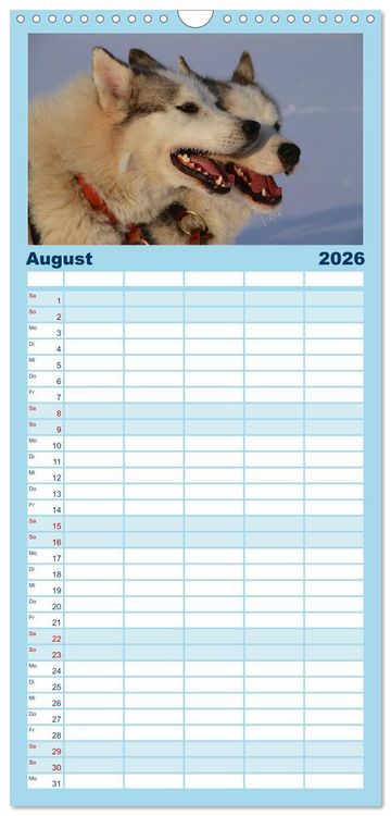 Produktbild: Familienplaner 2026 - Huskies! mit 5 Spalten (Wandkalender, 21 x 45 cm) CALVENDO