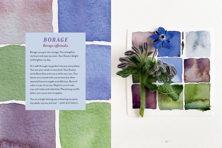Produktbild: The Generosity of Plants