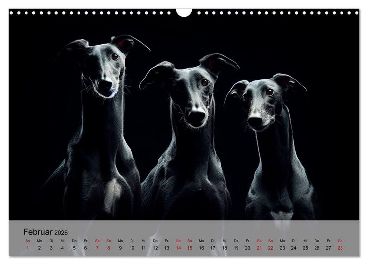 Produktbild: Black is beautiful (Wandkalender 2026 DIN A3 quer), CALVENDO Monatskalender